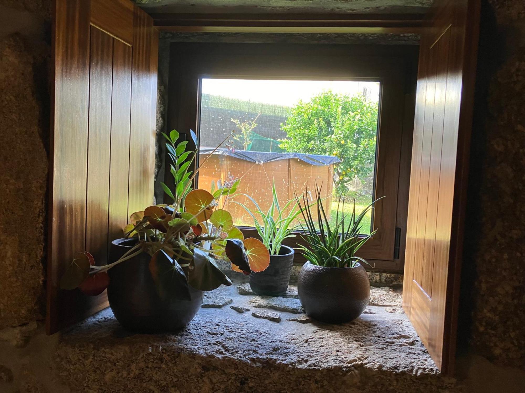 Bergui Guesthouse - Em Guimaraes Desde 2017 Extérieur photo